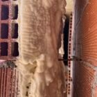 mousse icynene maroc